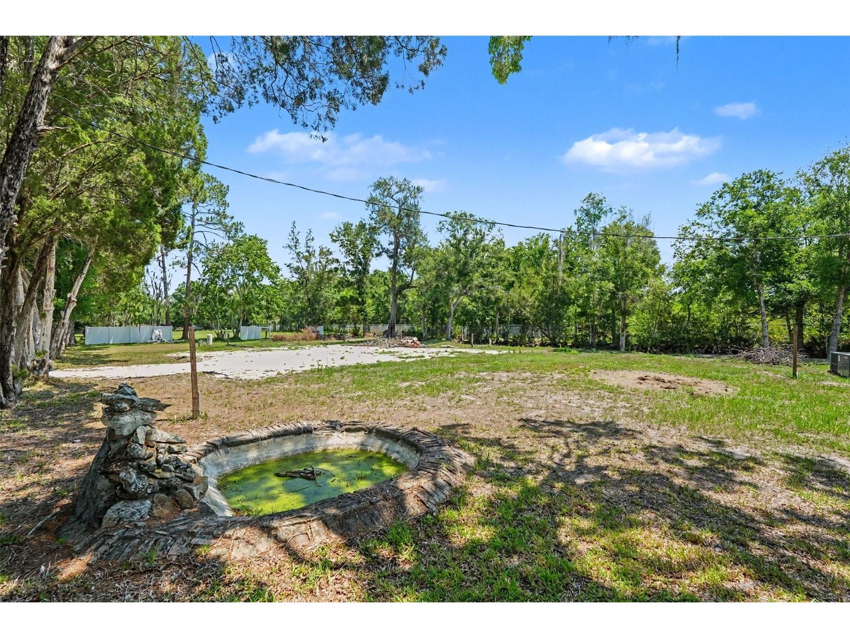 1346 Sierra Pines Blvd Lutz FL 33558 TB8509969 image5