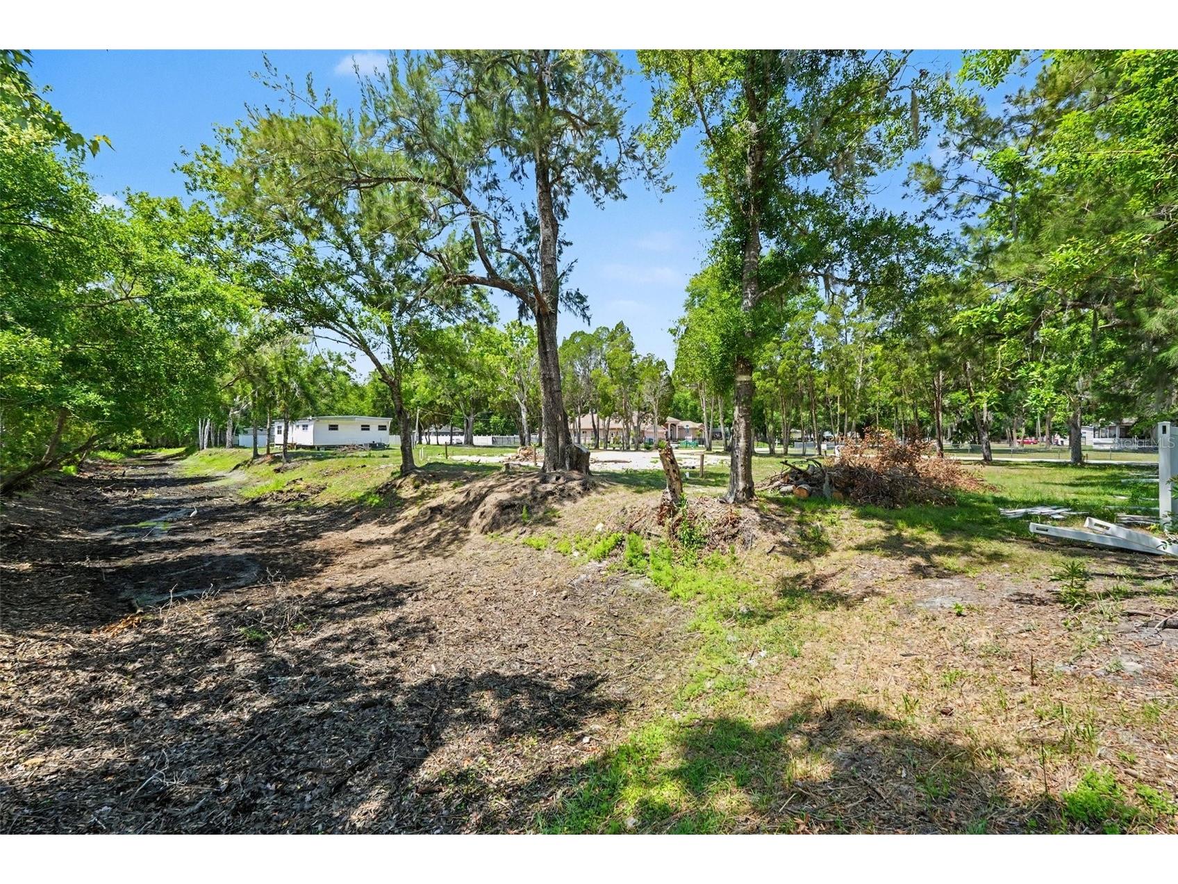 1346 Sierra Pines Blvd Lutz FL 33558 TB8509969 image7