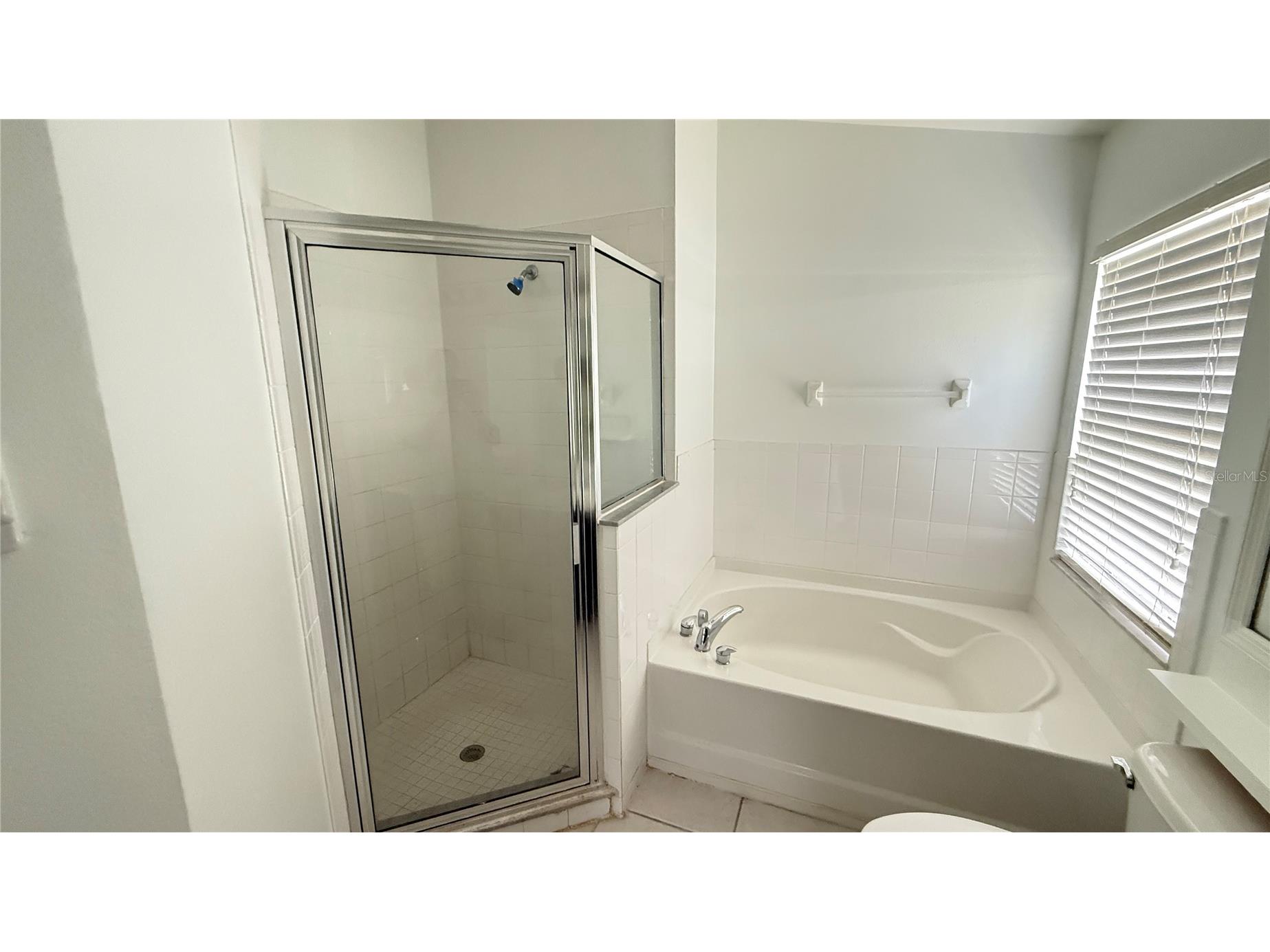 13464 Fladgate Mark Drive Riverview FL 33579 TB8520234 image34