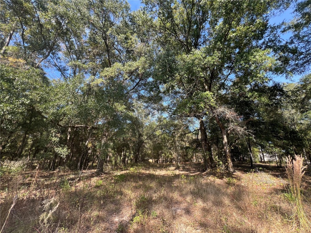 13465 SW 100th Street Dunnellon FL 34432 OM713566 image1