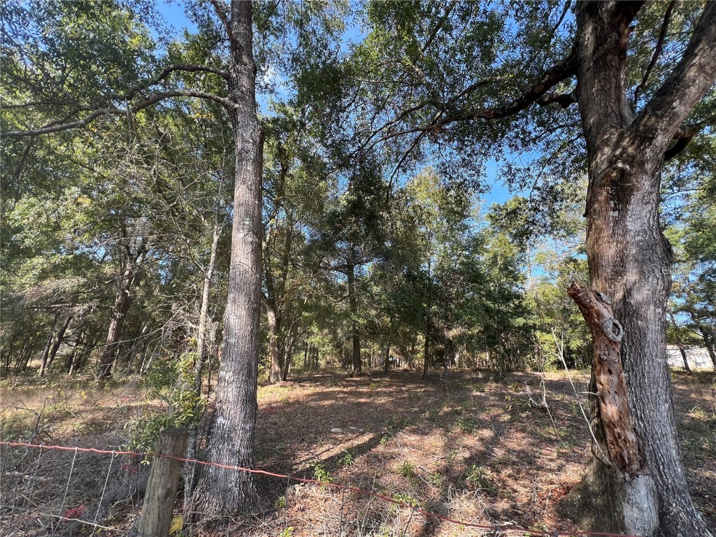 13465 SW 100th Street Dunnellon FL 34432 OM713566 image2