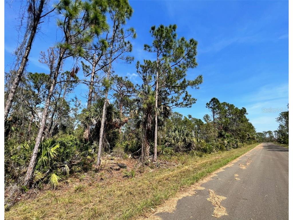 13466 Bender Avenue Port Charlotte FL 33953 C7472400 image1