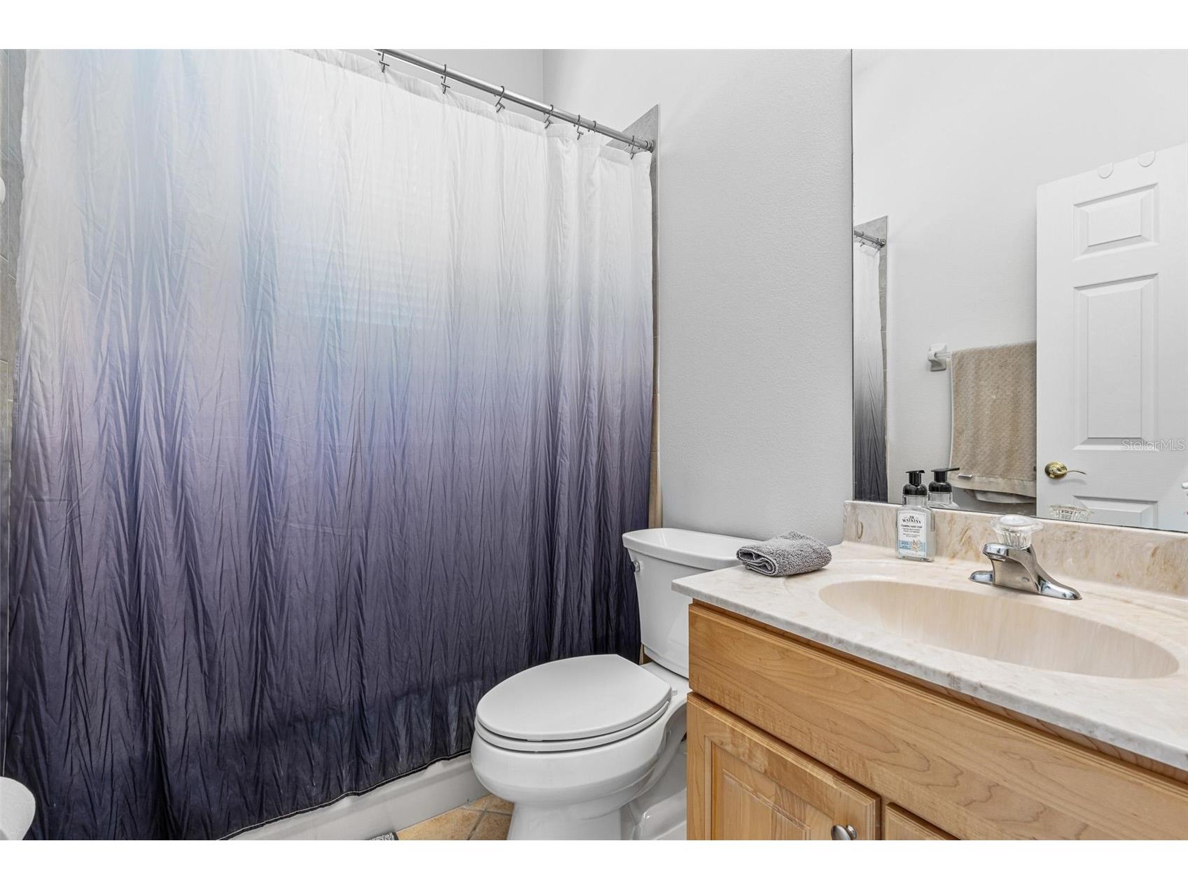 13466 Zori Lane Windermere FL 34786 O6393575 image17