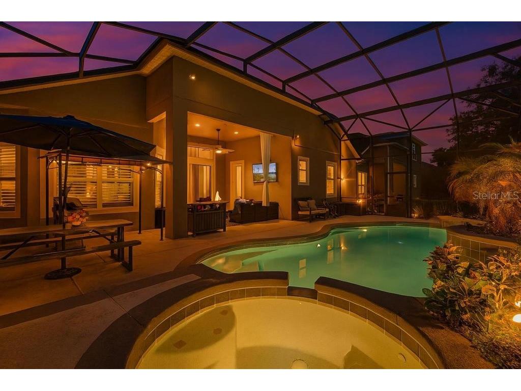 13466 Zori Lane Windermere FL 34786 O6393575 image42