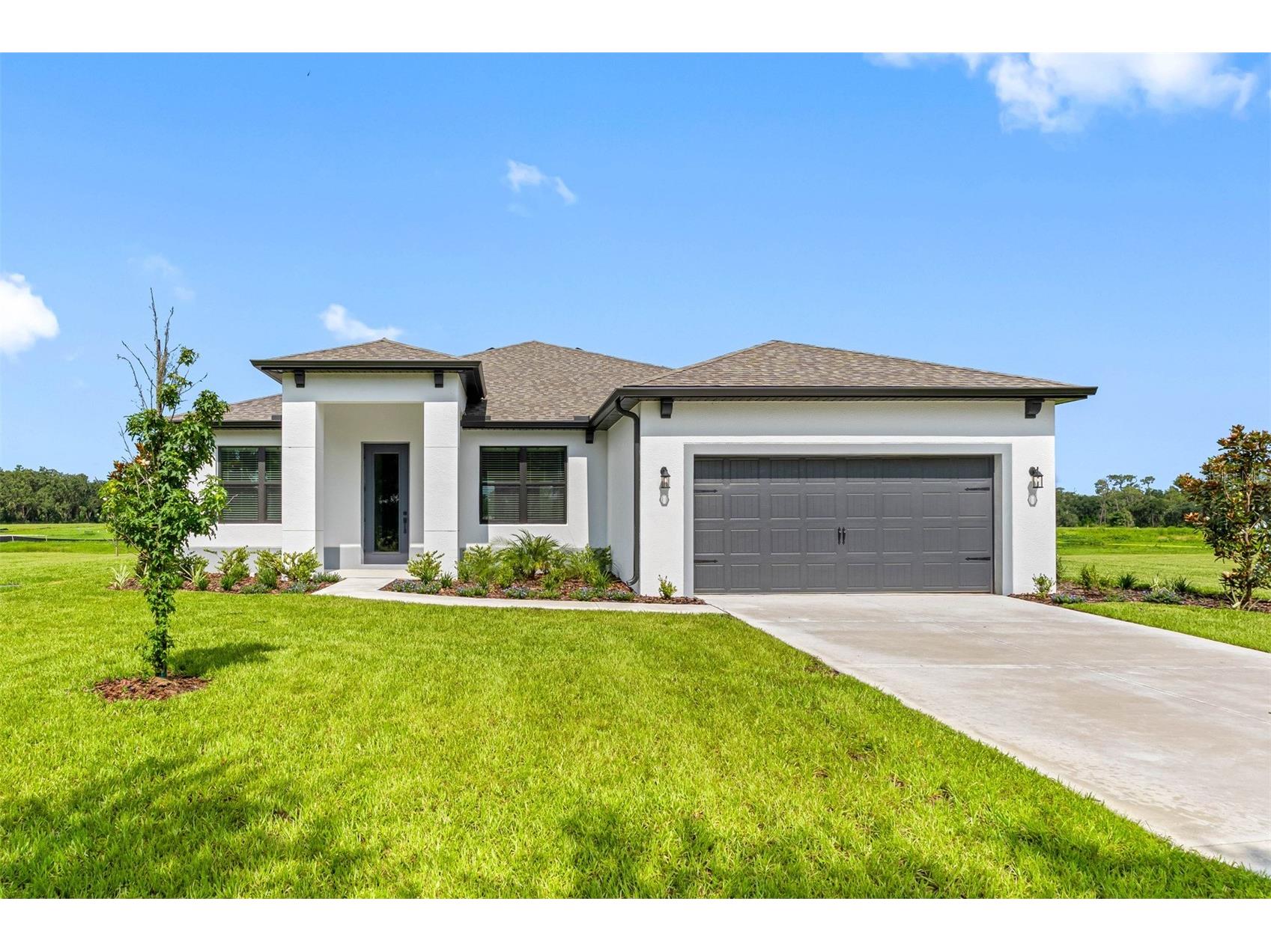 13468 Lake Gallagher Drive Dover FL 33527 TB8453920 image1