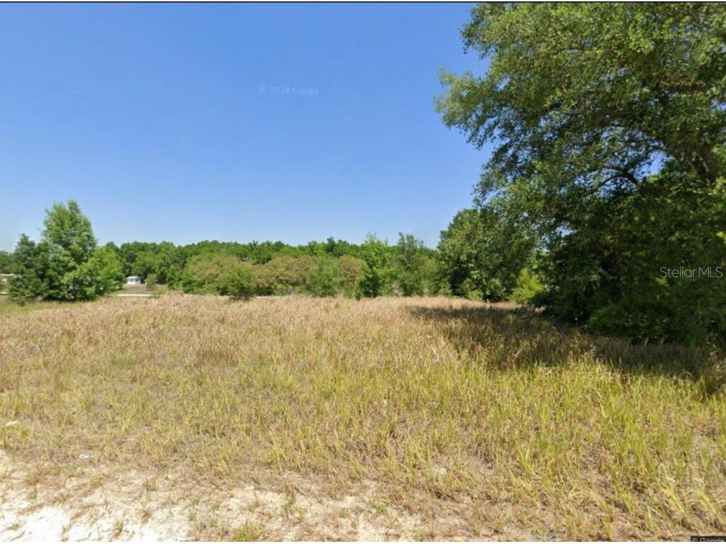 13469 SW 107th Place Dunnellon FL 34432 OM677289 image1