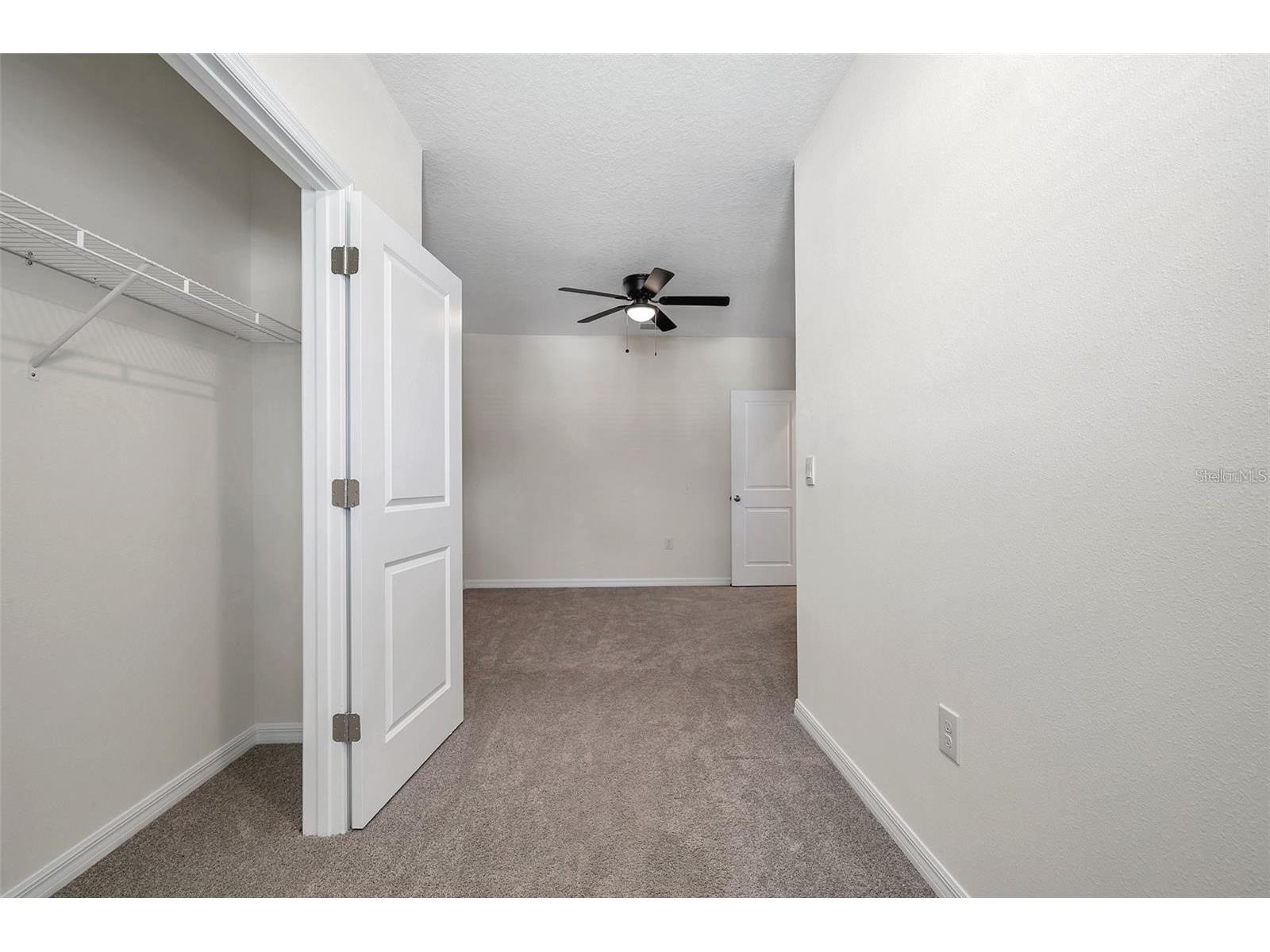 1347 Colt Creek Place Wesley Chapel FL 33543 TB8493344 image33