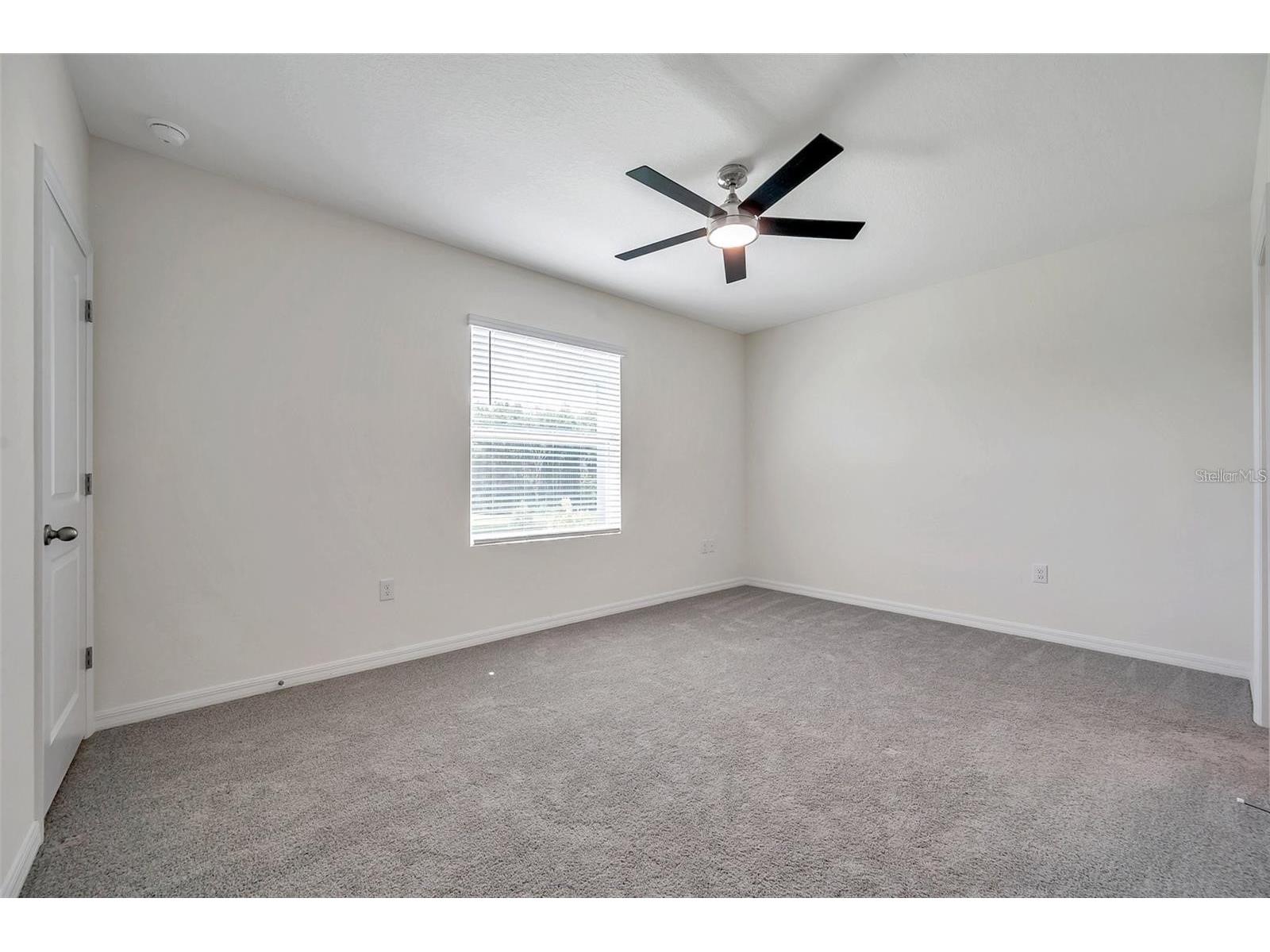 1347 Colt Creek Place Wesley Chapel FL 33543 TB8493344 image37
