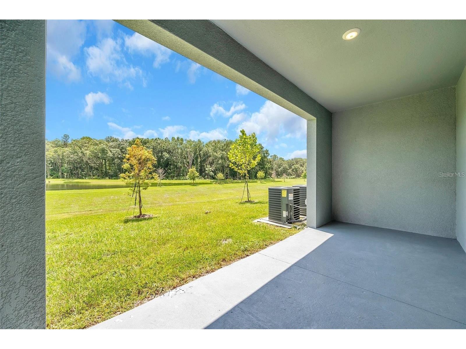 1347 Colt Creek Place Wesley Chapel FL 33543 TB8493344 image46