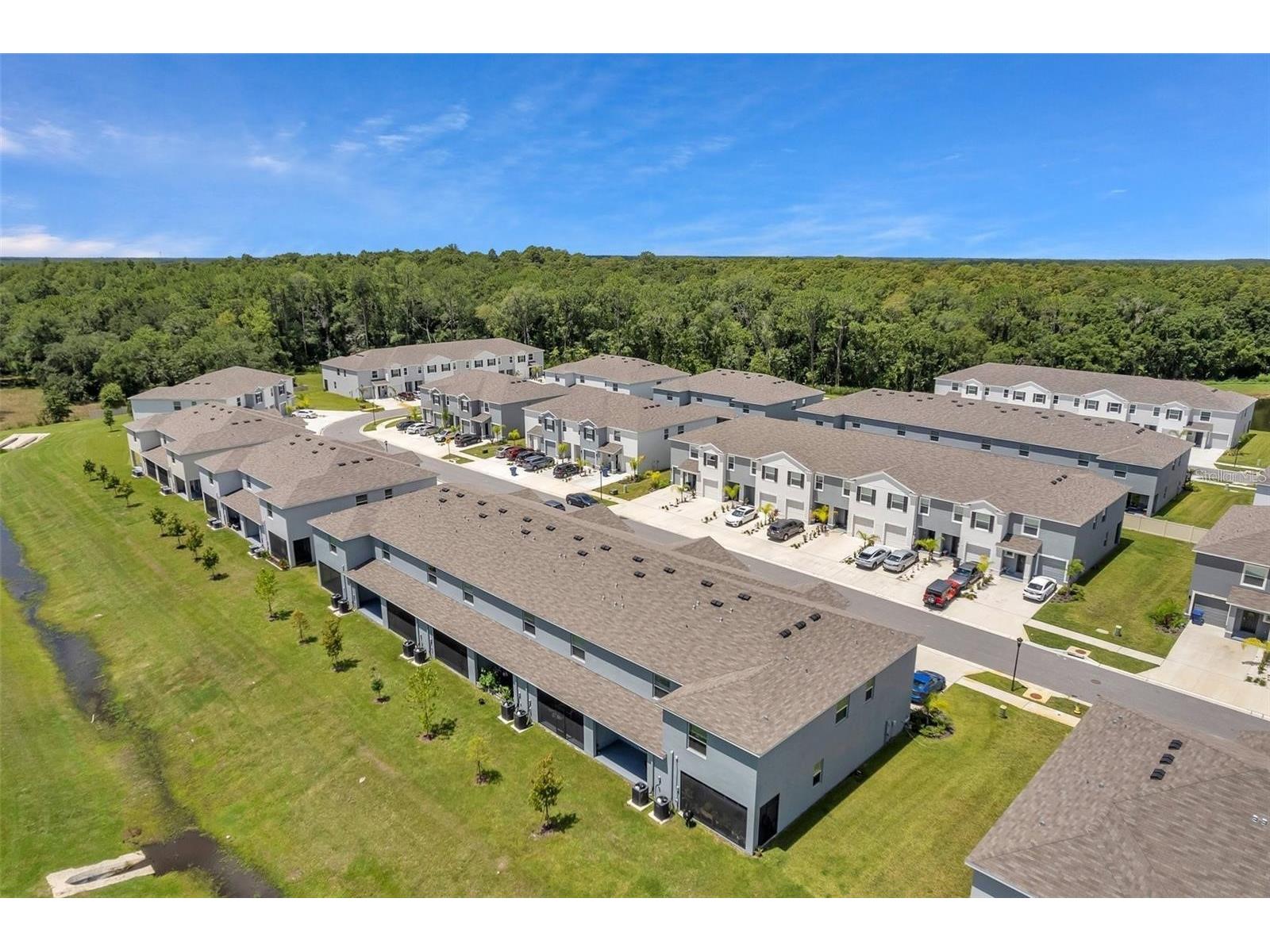 1347 Colt Creek Place Wesley Chapel FL 33543 TB8493344 image53