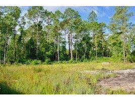 1347 East Parkway Deland FL 32724 S5122389 image1