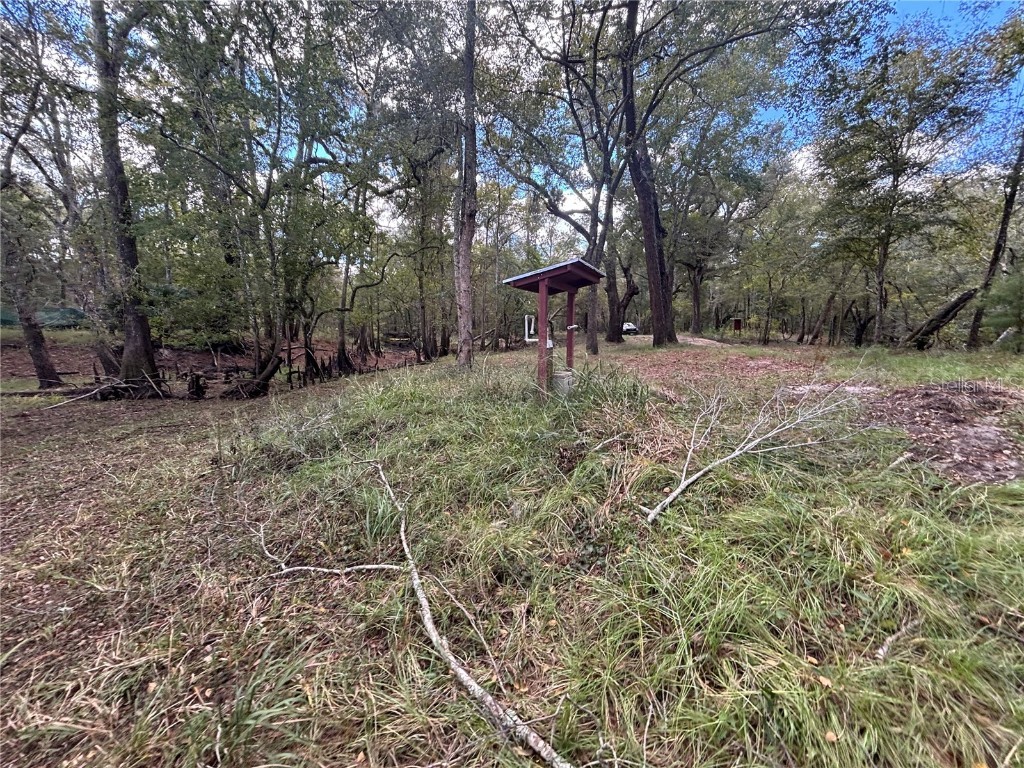 1347 NE 519th Avenue Old Town FL 32680 - SUWANNEE RIVER OM712260 image10