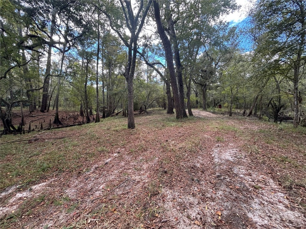 1347 NE 519th Avenue Old Town FL 32680 - SUWANNEE RIVER OM712260 image12