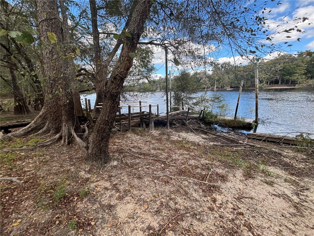 1347 NE 519th Avenue Old Town FL 32680 - SUWANNEE RIVER OM712260 image3