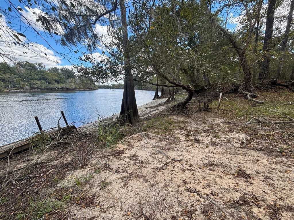 1347 NE 519th Avenue Old Town FL 32680 - SUWANNEE RIVER OM712260 image4