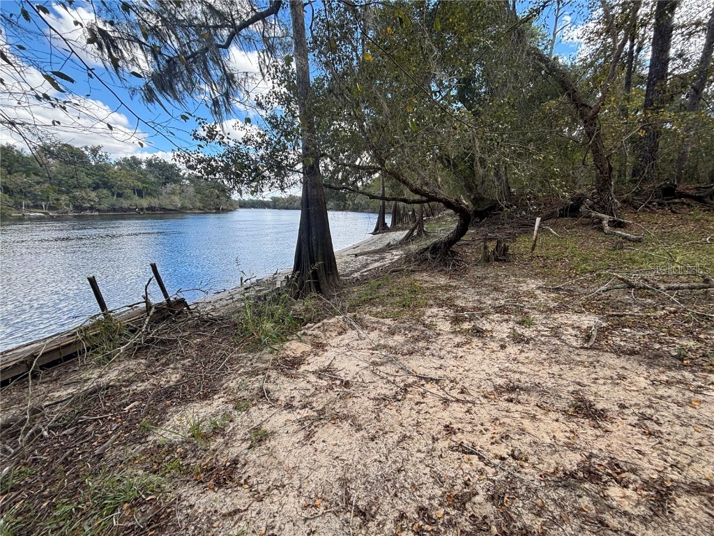 1347 NE 519th Avenue Old Town FL 32680 - SUWANNEE RIVER OM712260 image5