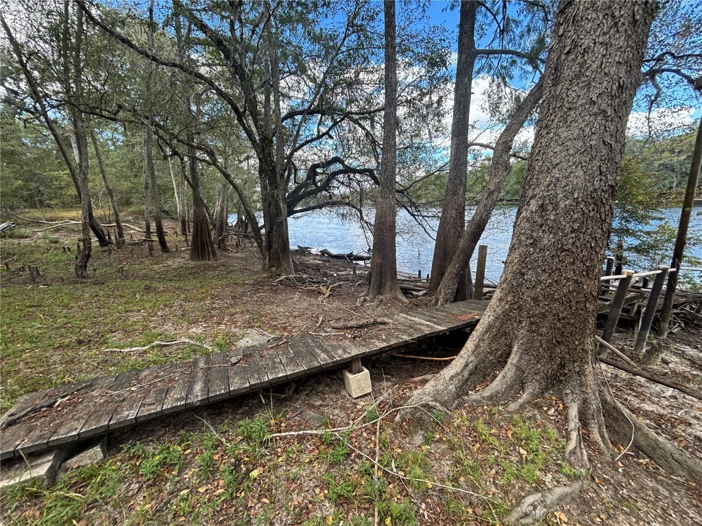 1347 NE 519th Avenue Old Town FL 32680 - SUWANNEE RIVER OM712260 image6