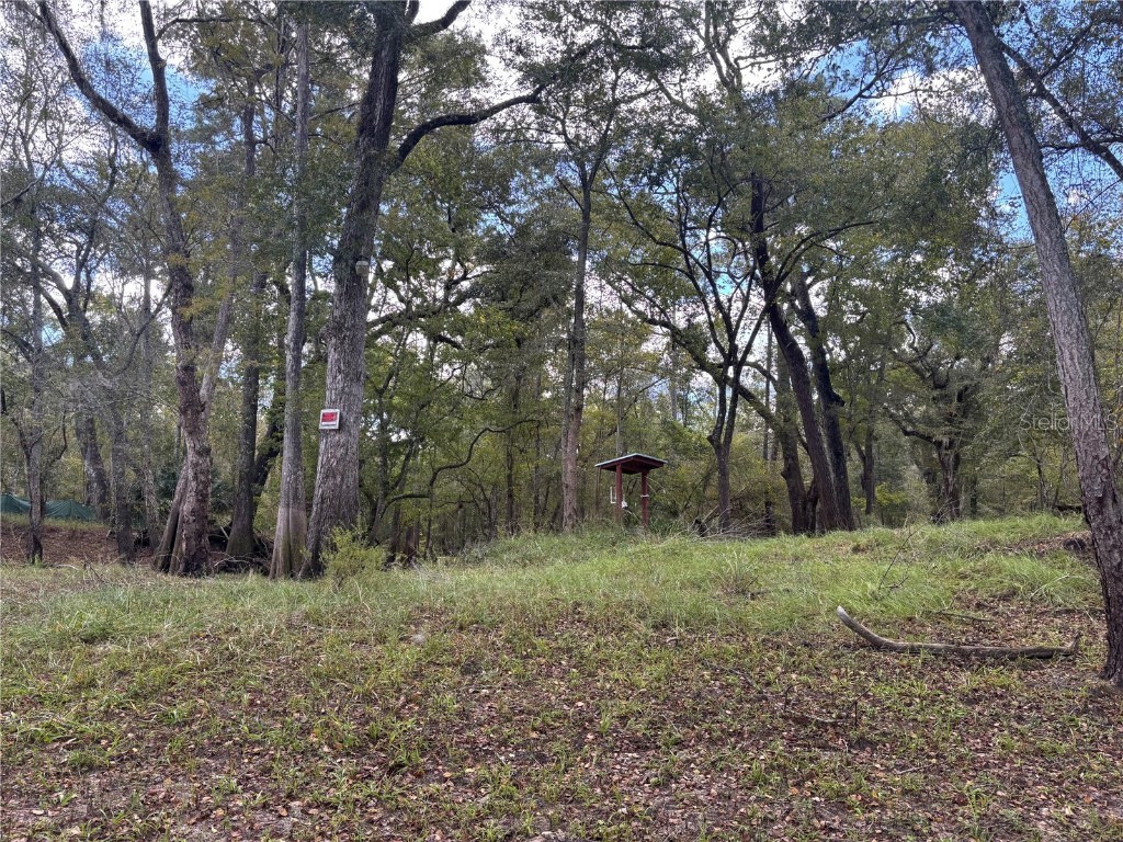 1347 NE 519th Avenue Old Town FL 32680 - SUWANNEE RIVER OM712260 image7