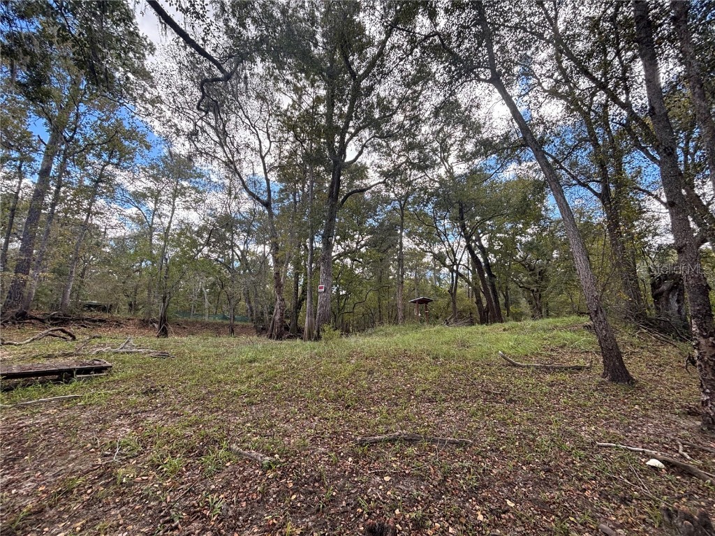 1347 NE 519th Avenue Old Town FL 32680 - SUWANNEE RIVER OM712260 image8