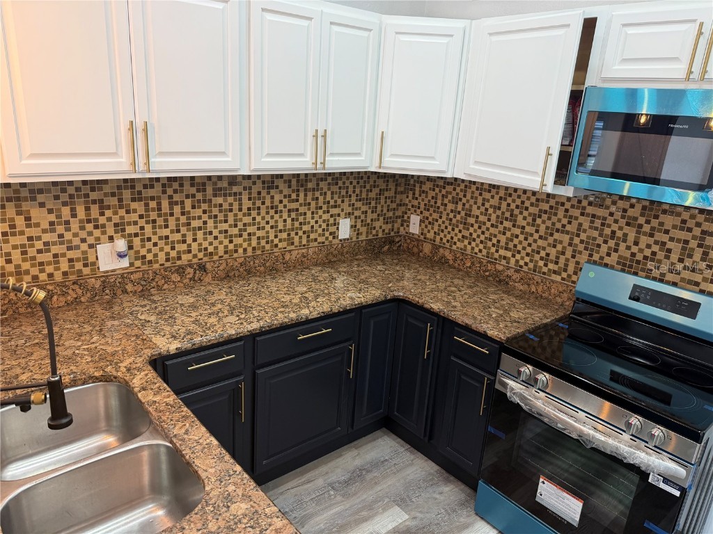 1347 Orchid Avenue Winter Park FL 32789 S5140042 image4