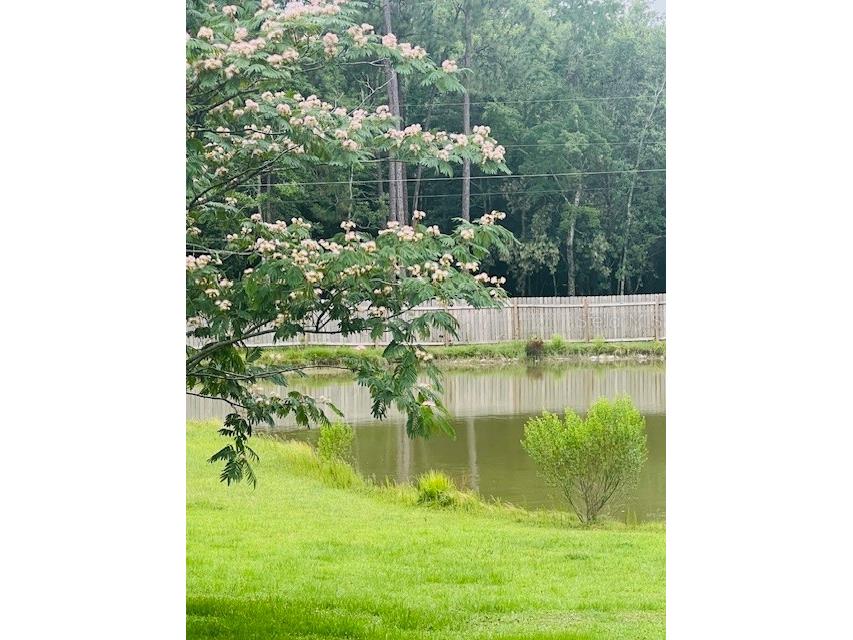 1347 Wishbone Road Cantonment FL 32533 OM727824 image18