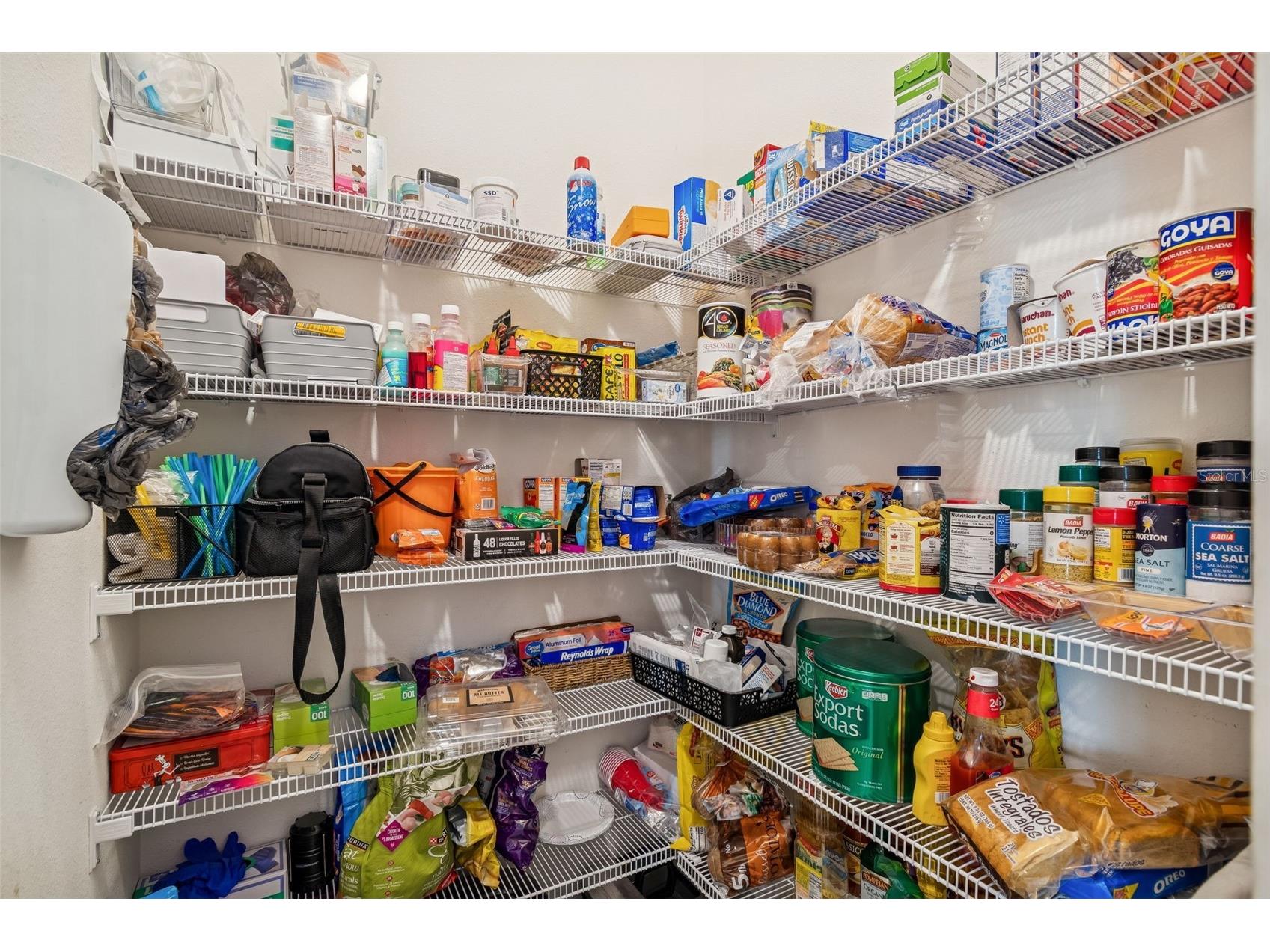 13470 Golden Lime Avenue Spring Hill FL 34609 TB8484959 image32