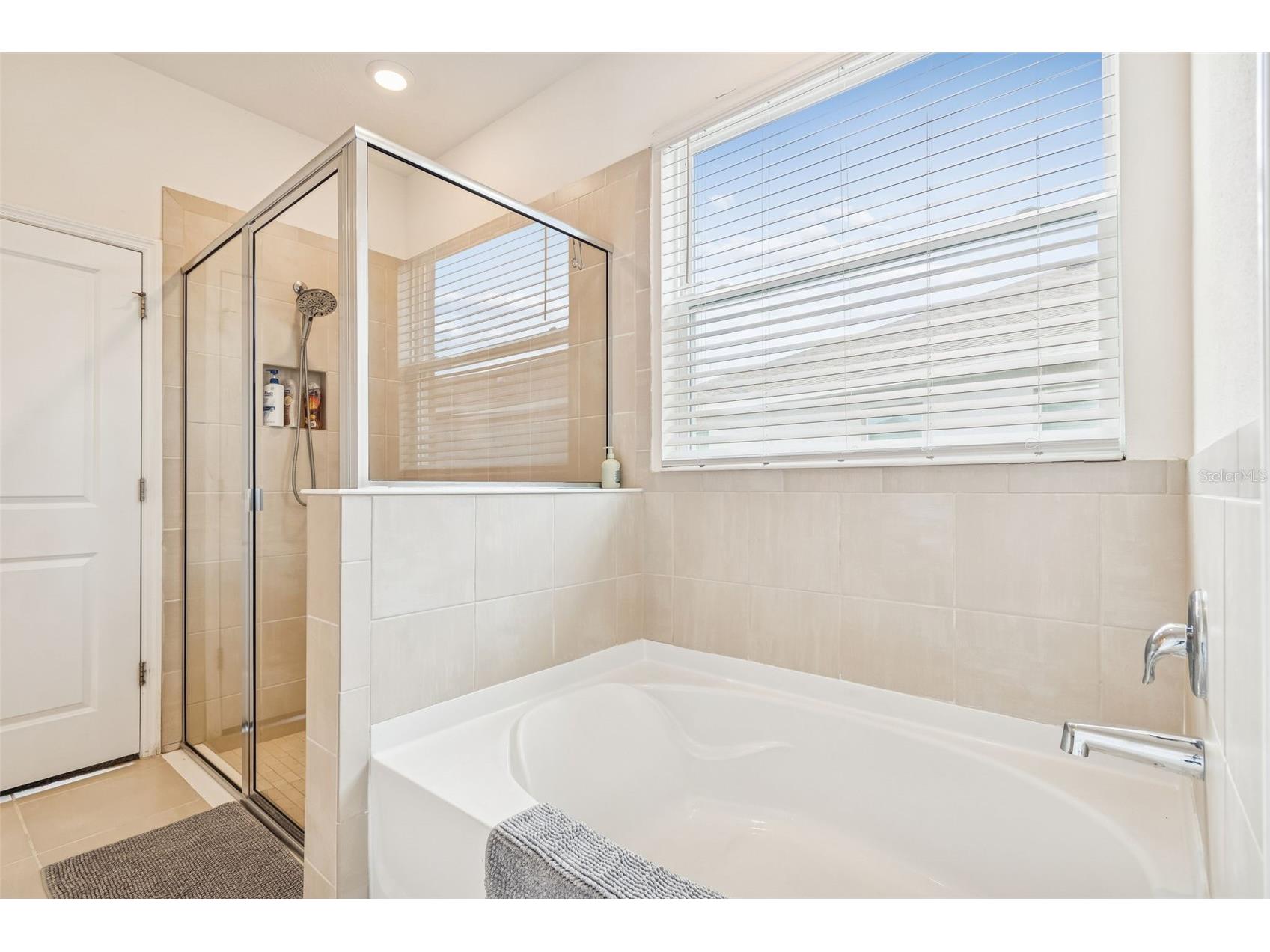 13470 Golden Lime Avenue Spring Hill FL 34609 TB8484959 image39