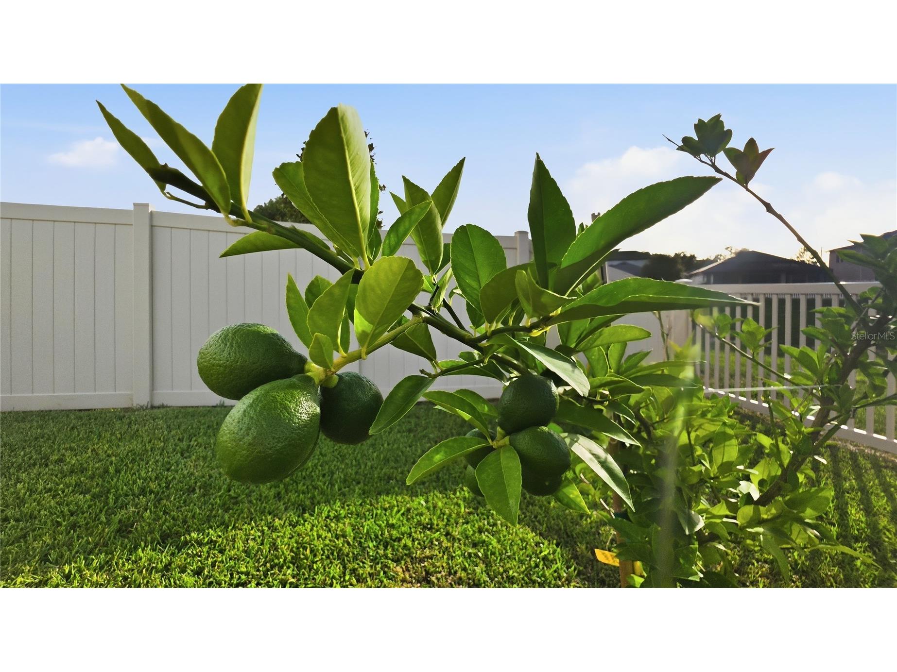 13471 Newport Shores Drive Hudson FL 34669 W7887685 image20