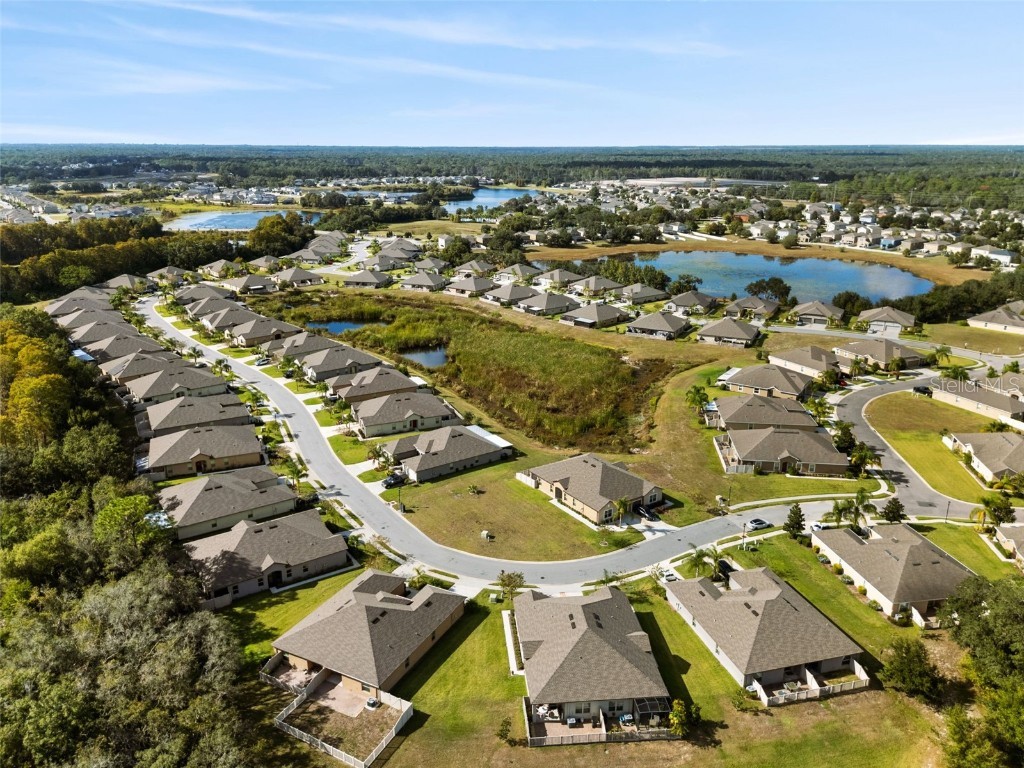 13475 Crest Lake Drive Hudson FL 34669 TB8446332 image40