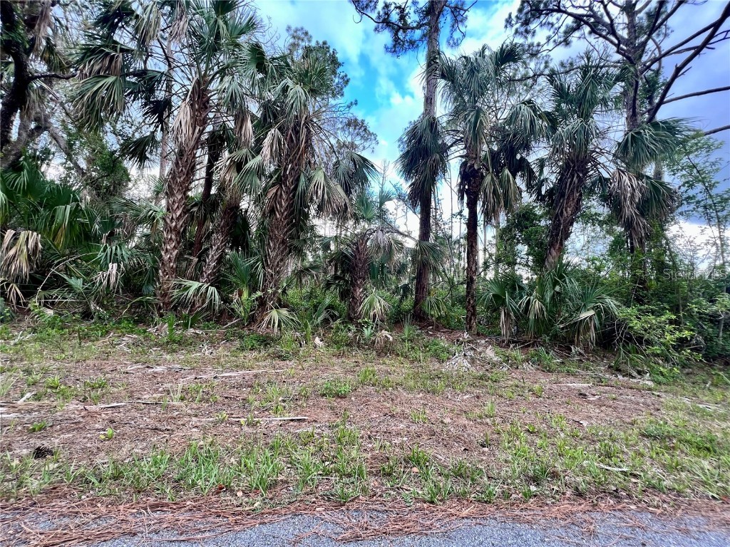 13475 Ketridge Avenue Port Charlotte FL 33953 C7494936 image1