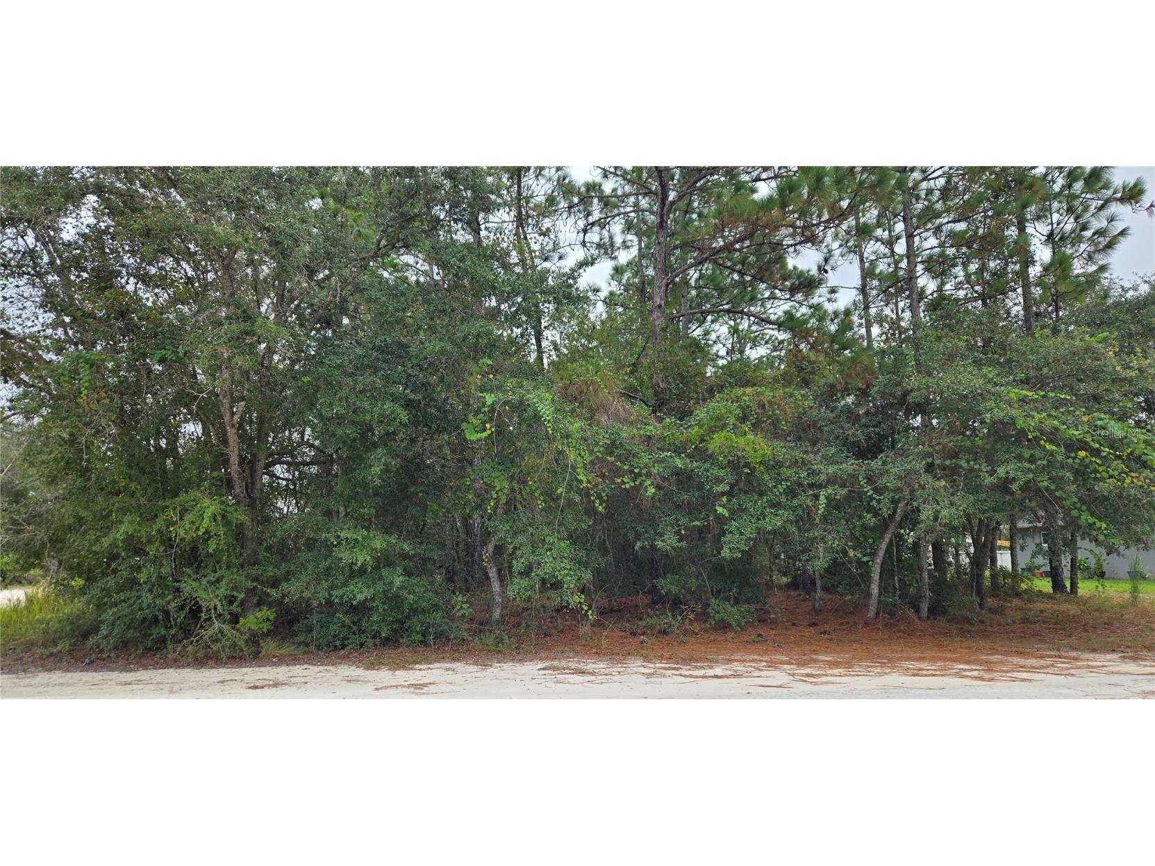 13476 Canada Goose Road Brooksville FL 34614 W7879808 image1