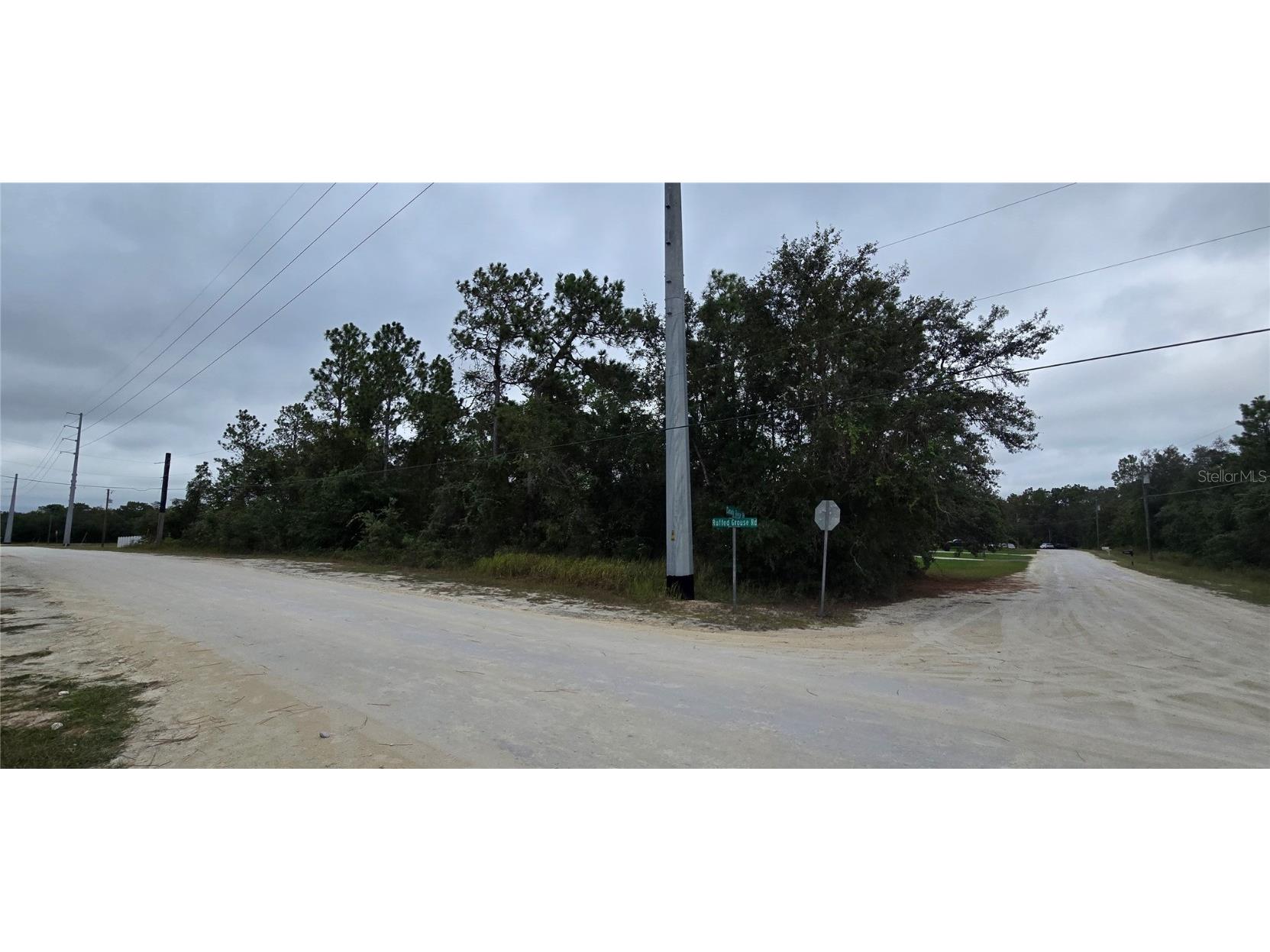 13476 Canada Goose Road Brooksville FL 34614 W7879808 image2