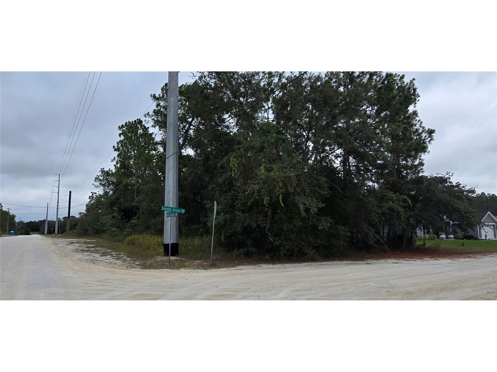 13476 Canada Goose Road Brooksville FL 34614 W7879808 image3