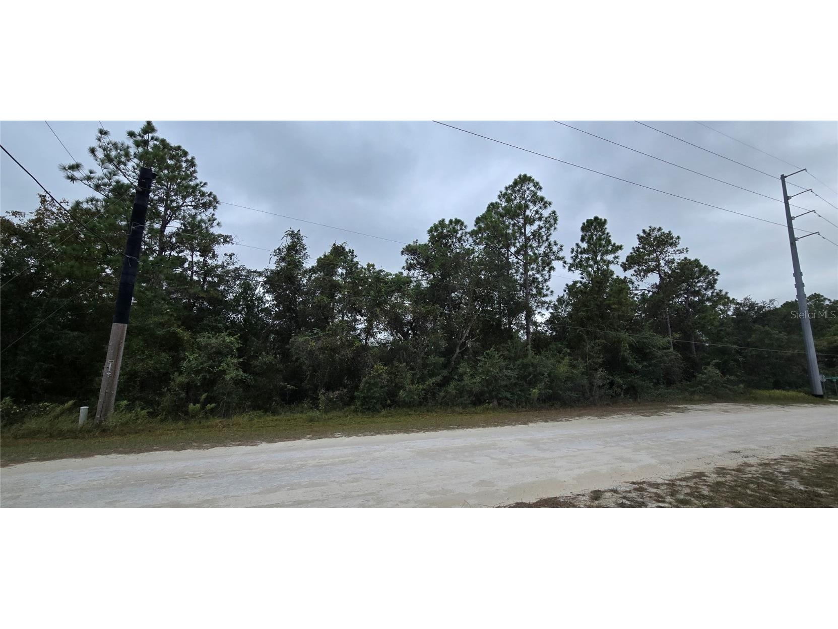 13476 Canada Goose Road Brooksville FL 34614 W7879808 image4