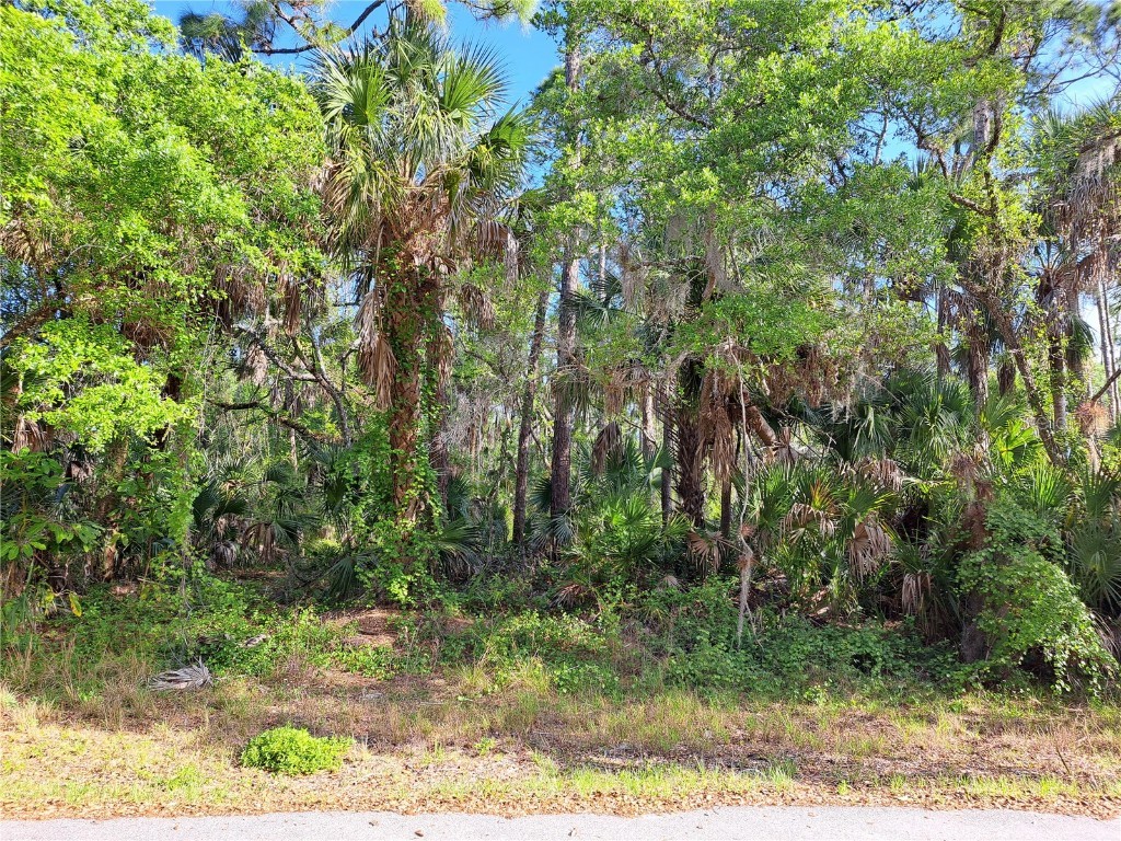 13476 Sedgwick Avenue Port Charlotte FL 33953 N6132018 image1