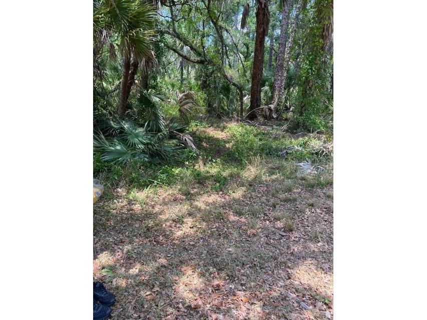 13476 Sedgwick Avenue Port Charlotte FL 33953 T3537777 image1