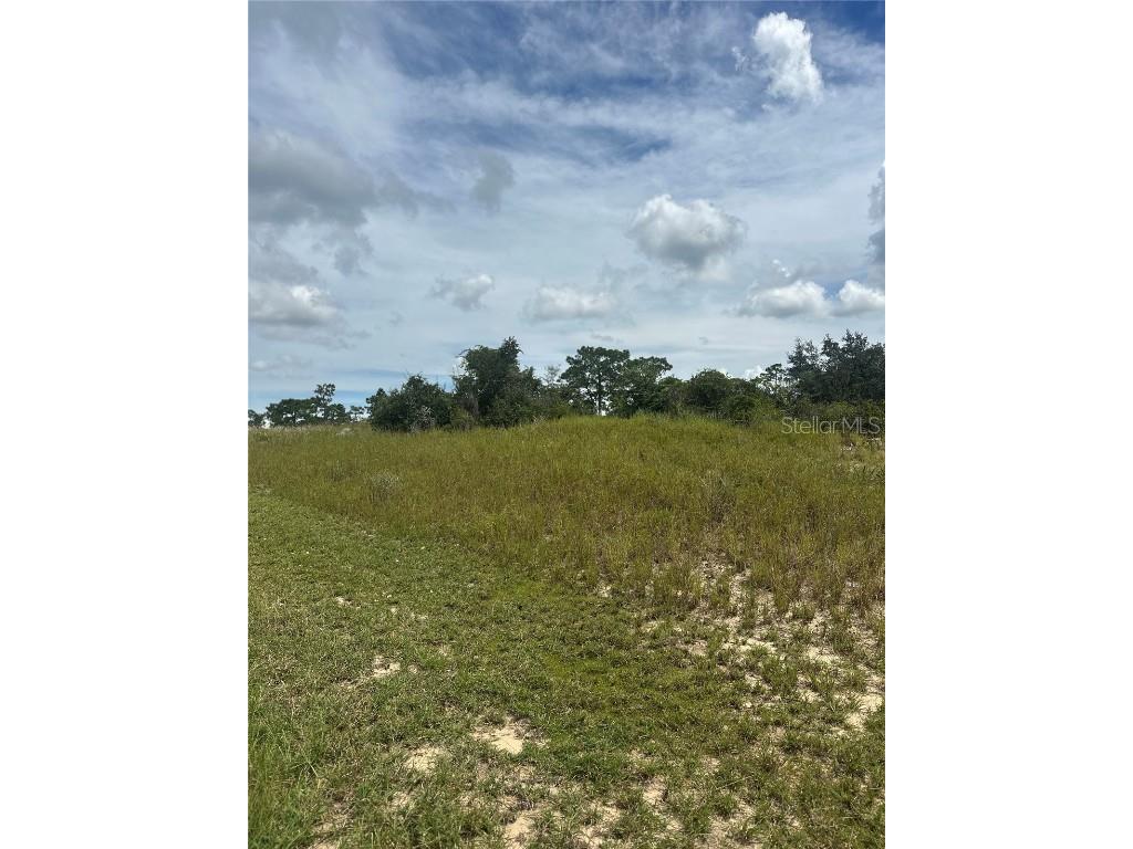 1348 Homosassa Court Kissimmee FL 34759 S5132942 image1