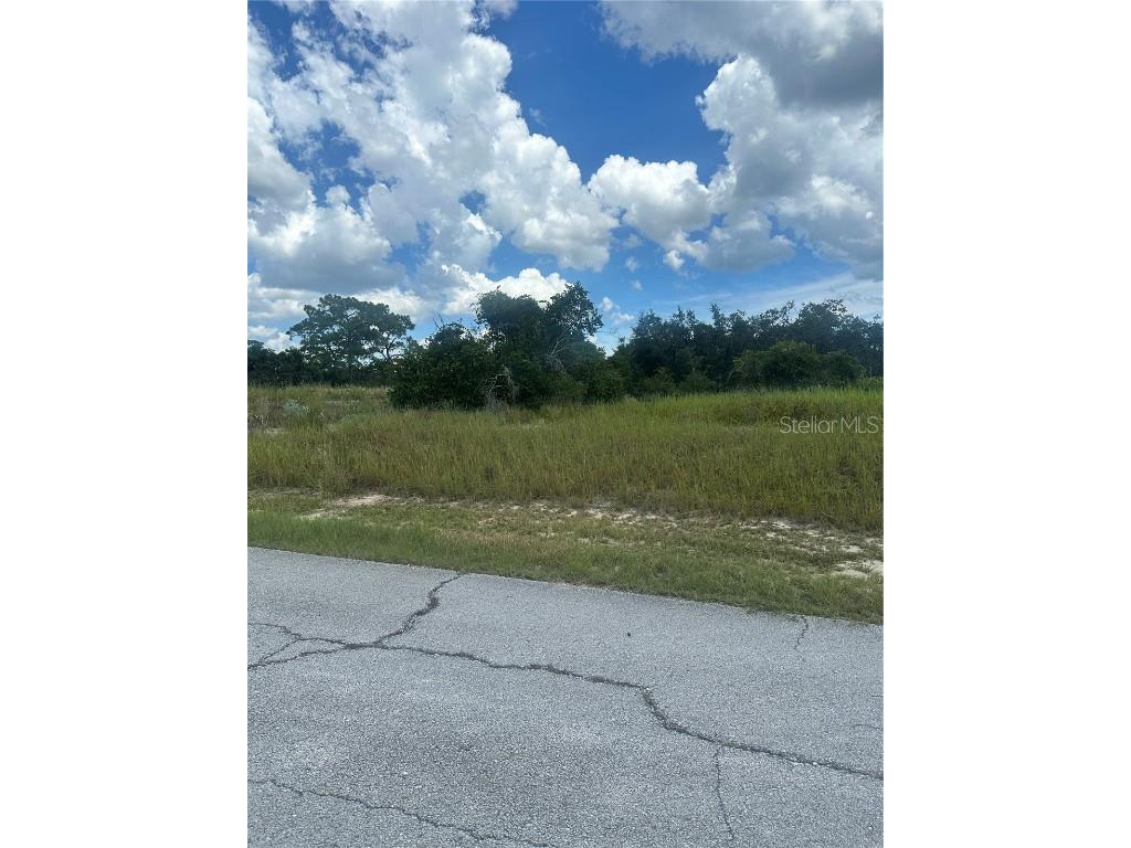 1348 Homosassa Court Kissimmee FL 34759 S5132942 image2