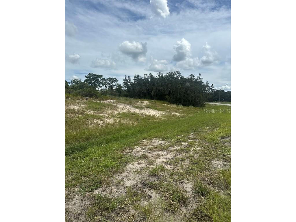 1348 Homosassa Court Kissimmee FL 34759 S5132942 image4