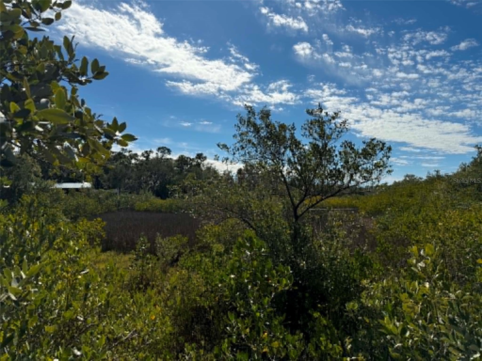 1348 S Estuary Drive Crystal River FL 34429 TB8525859 image14