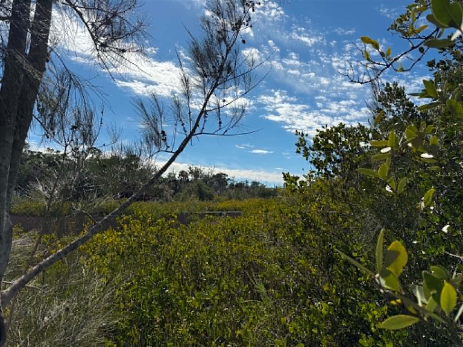 1348 S Estuary Drive Crystal River FL 34429 TB8525859 image15