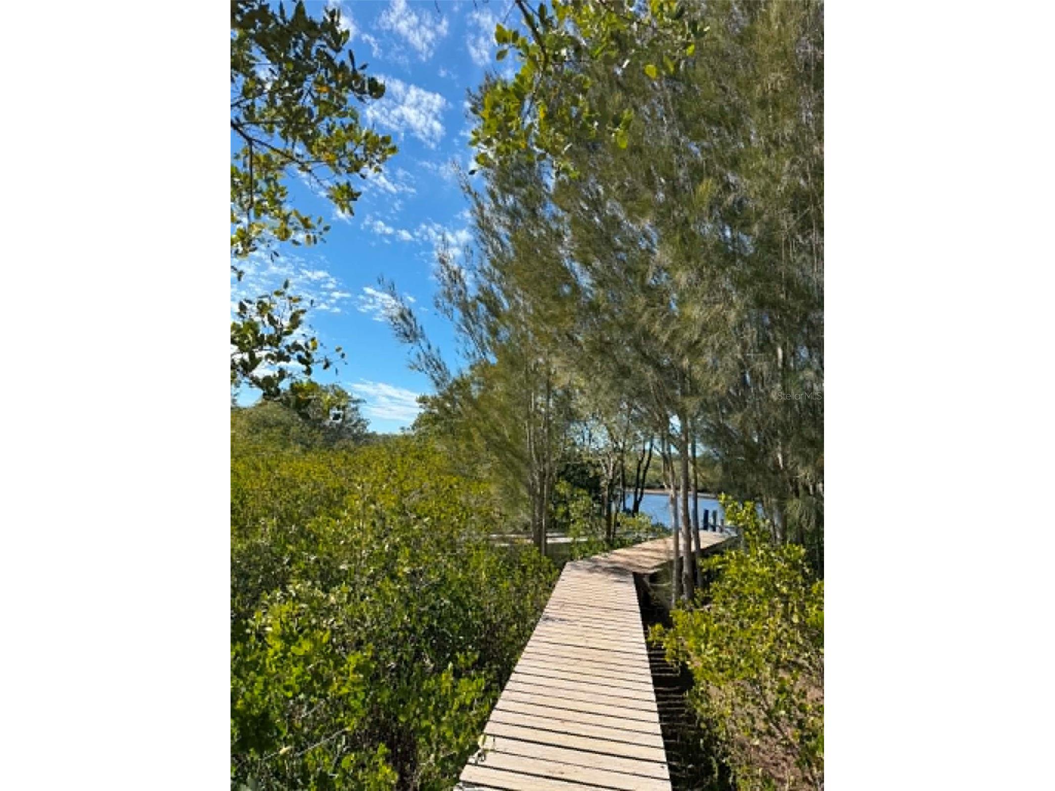 1348 S Estuary Drive Crystal River FL 34429 TB8525859 image7
