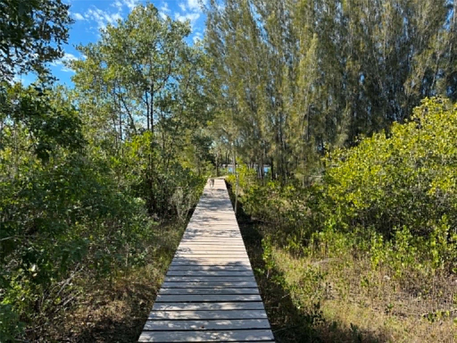 1348 S Estuary Drive Crystal River FL 34429 TB8525859 image8