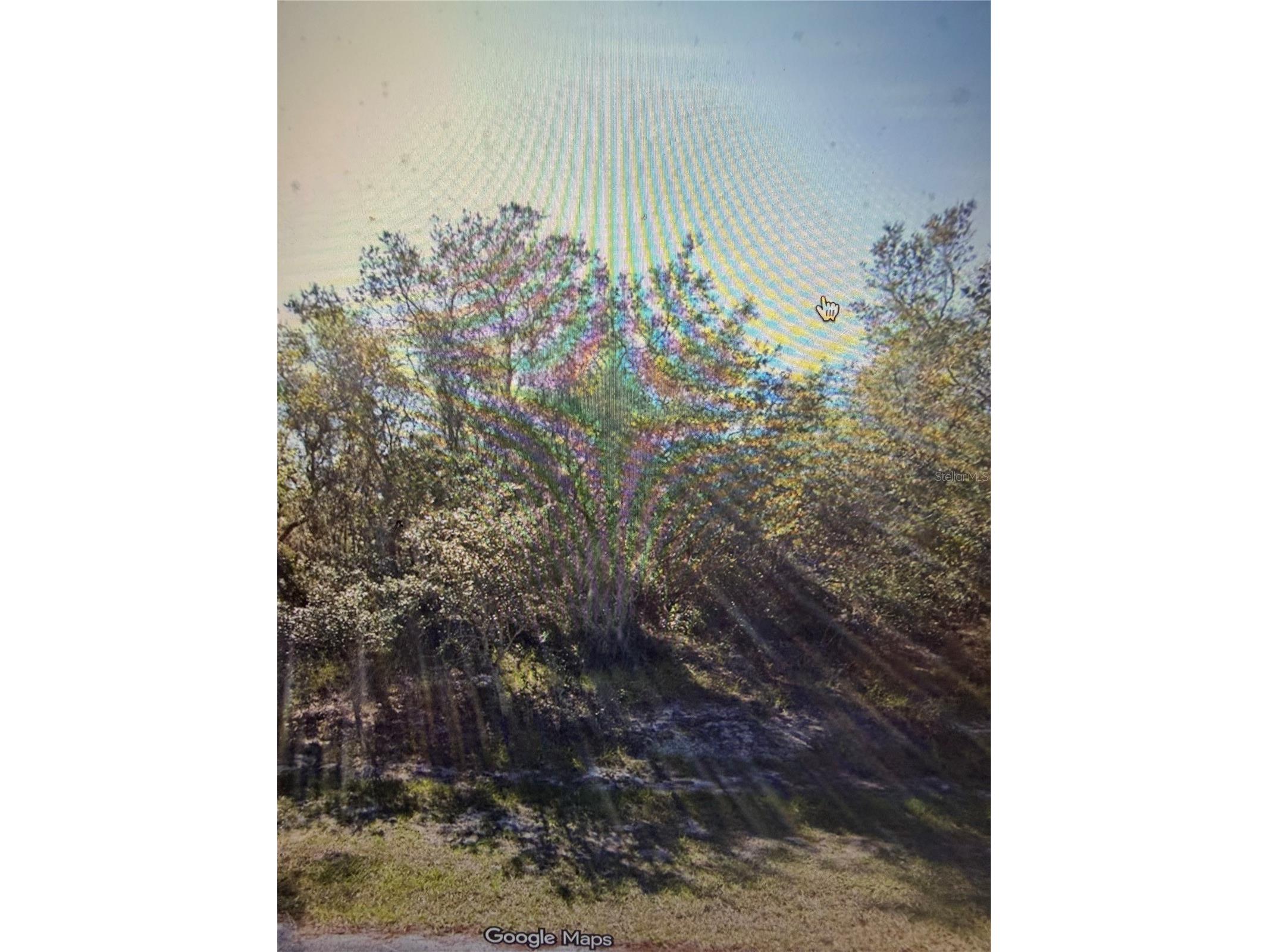 1348 Tallahassee Court Kissimmee FL 34759 L4960740 image1