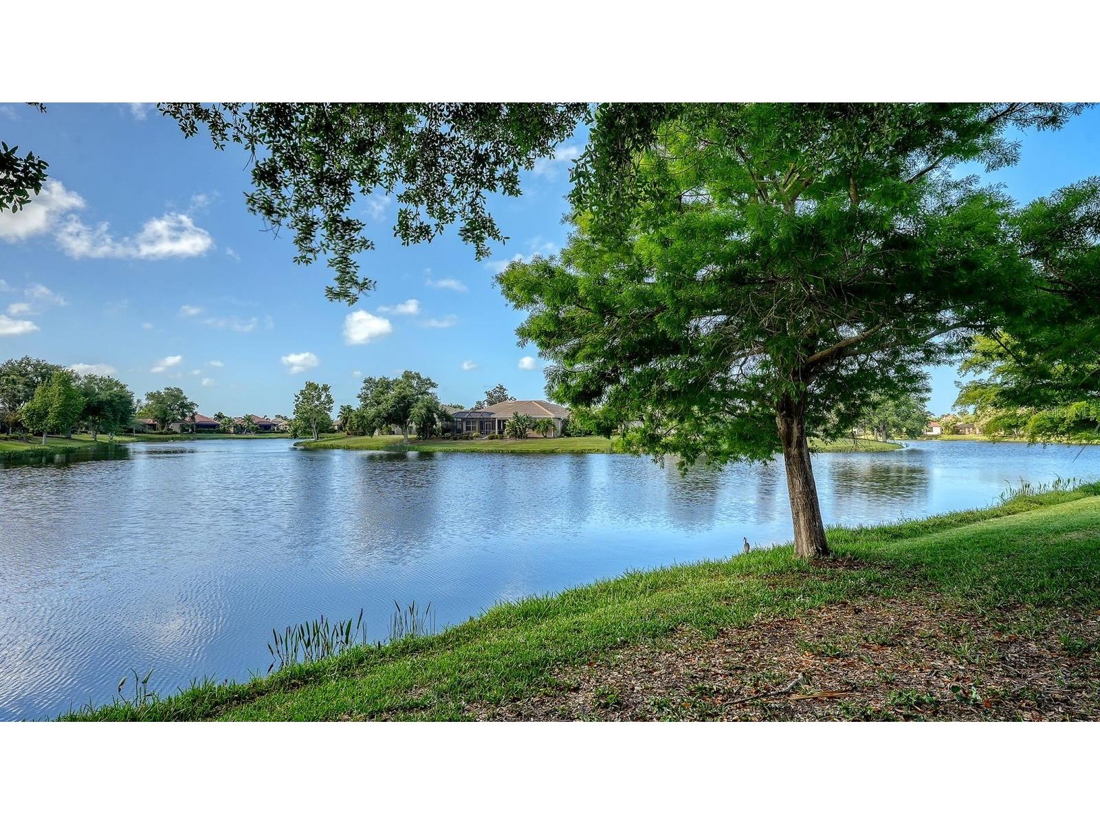 1348 Thornapple Drive Osprey FL 34229 A4687822 image1