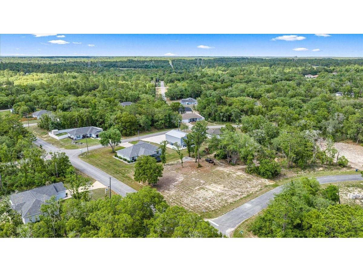 1348 W Mcneal Drive Dunnellon FL 34431 OM723549 image7