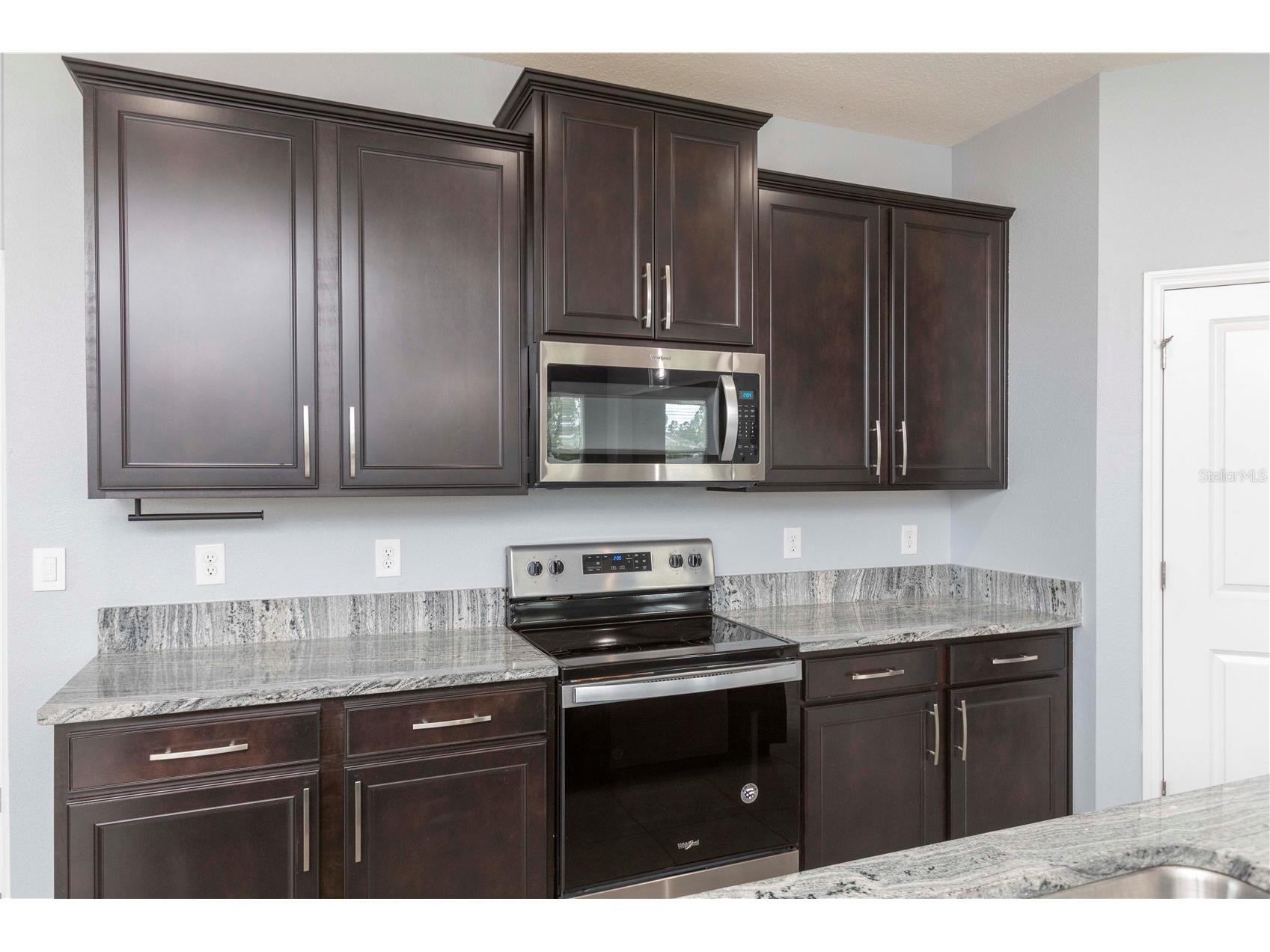 13483 Golden Lime Avenue Spring Hill FL 34609 W7879416 image21