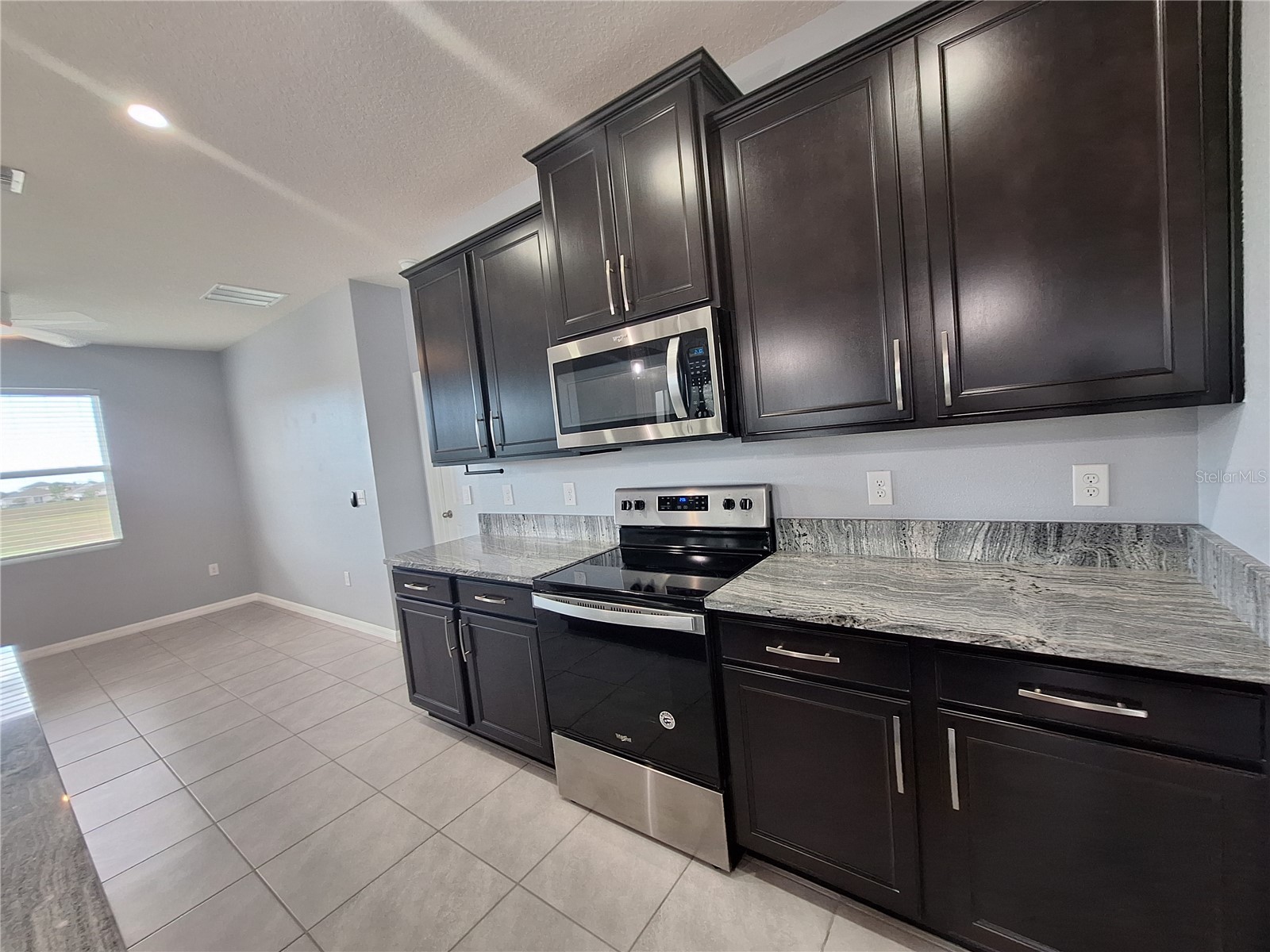 13483 Golden Lime Avenue Spring Hill FL 34609 W7879416 image26