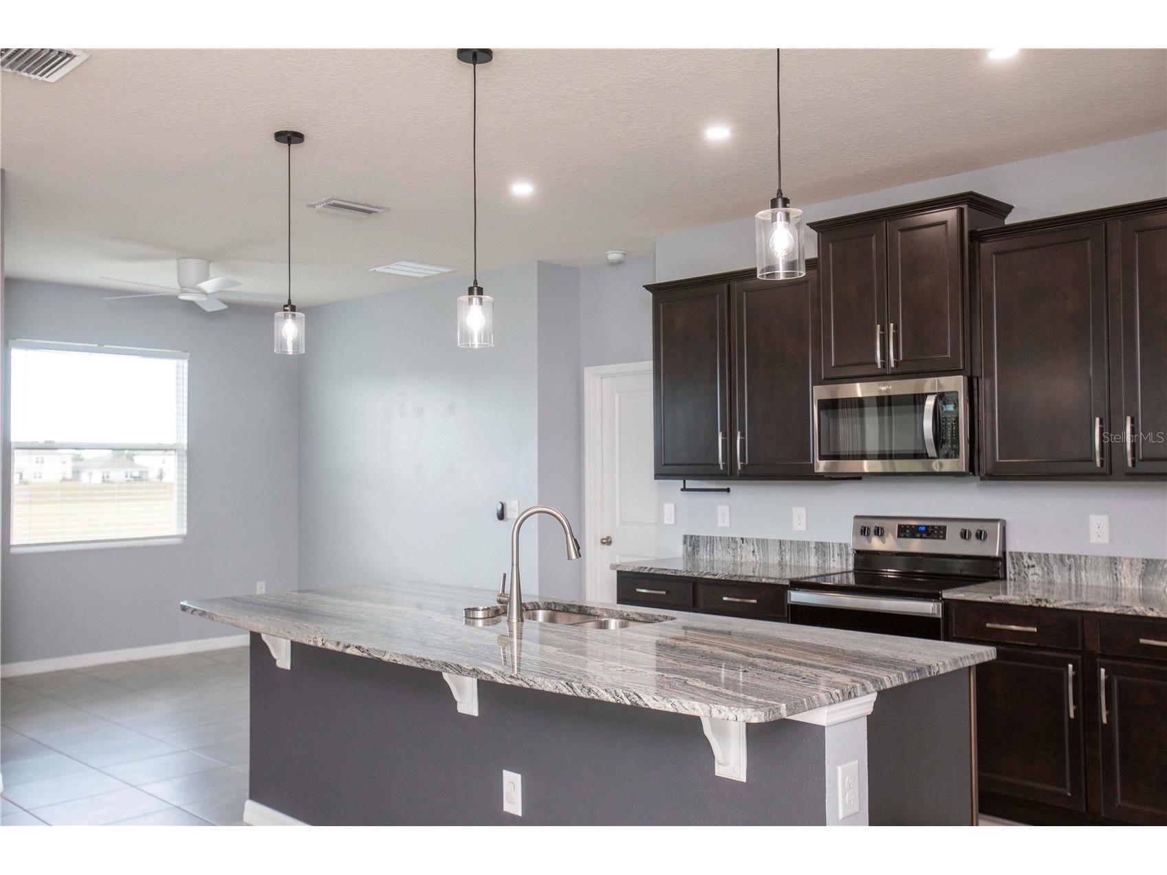 13483 Golden Lime Avenue Spring Hill FL 34609 W7879416 image30