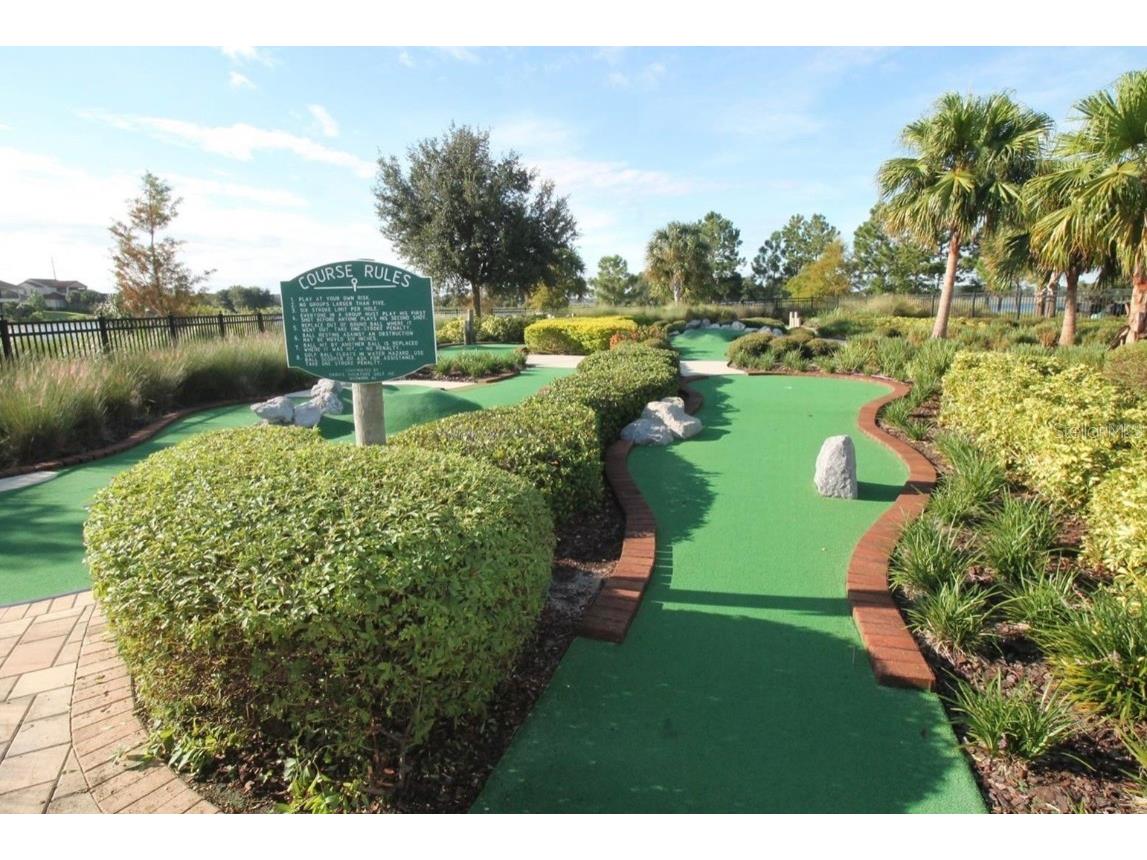 13483 Sagestone Drive Winter Garden FL 34787 O6365207 image12